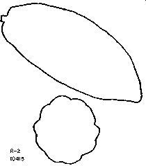 Drawing of pod outlines.