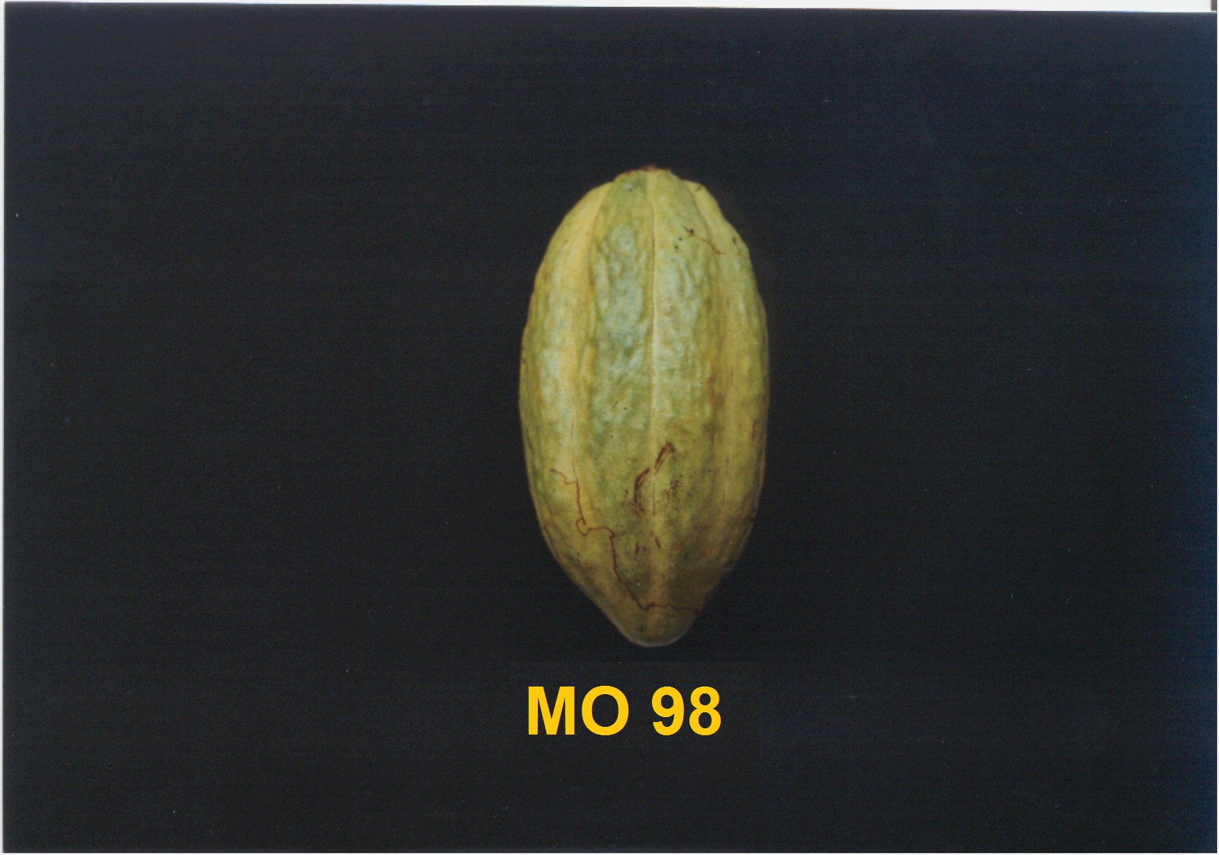 Mature pod