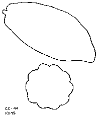 Drawing of pod outlines.