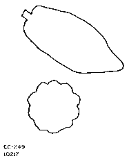 Drawing of pod outlines.