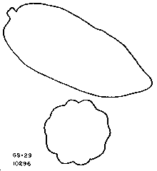 Drawing of pod outlines.