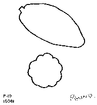 Drawing of pod outlines.