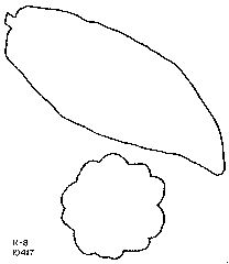 Drawing of pod outlines.