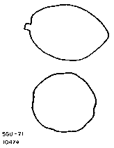 Drawing of pod outlines.