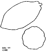 Drawing of pod outlines.