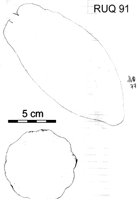 Drawing of pod outlines.