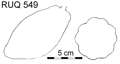 Drawing of pod outlines.