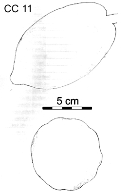 Drawing of pod outlines.