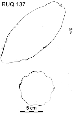 Drawing of pod outlines.