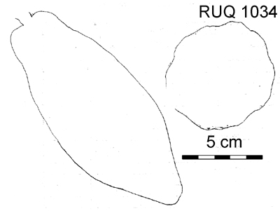 Drawing of pod outlines.