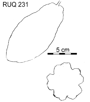 Drawing of pod outlines.