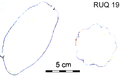 Drawing of pod outlines.