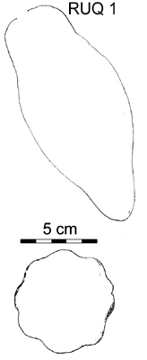 Drawing of pod outlines.