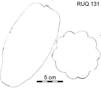 Drawing of pod outlines.