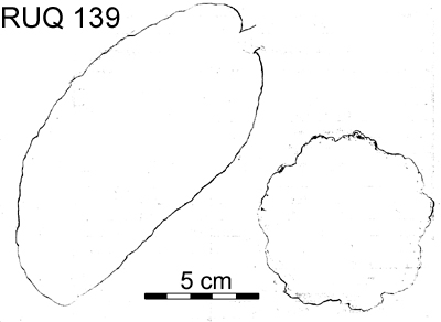 Drawing of pod outlines.