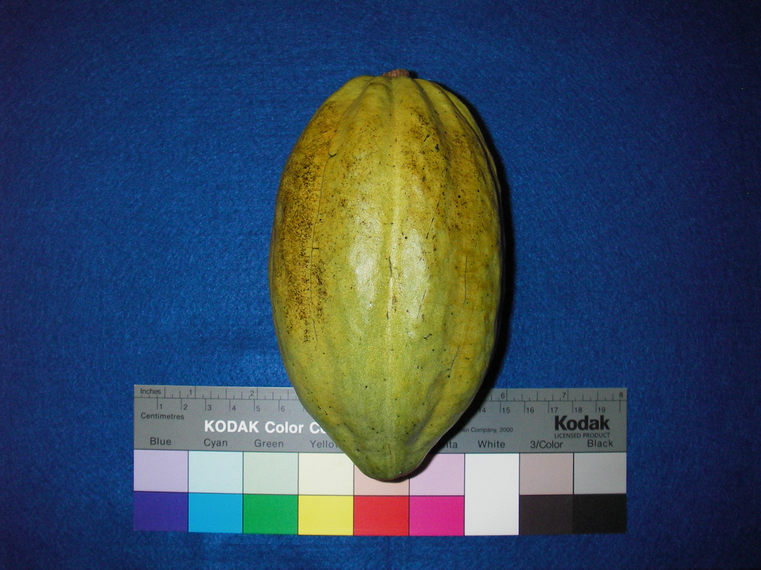 Mature pod