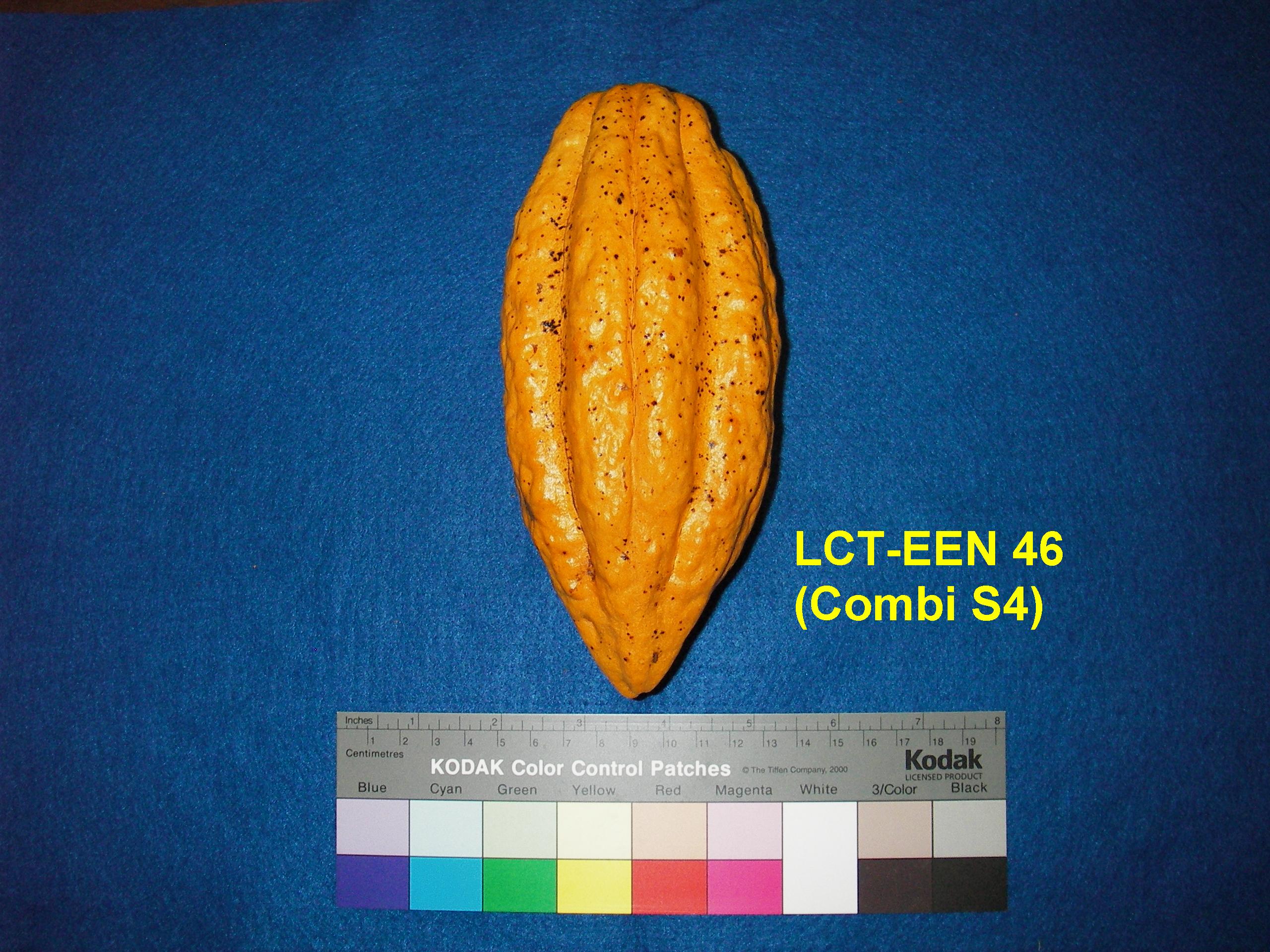 Mature pod