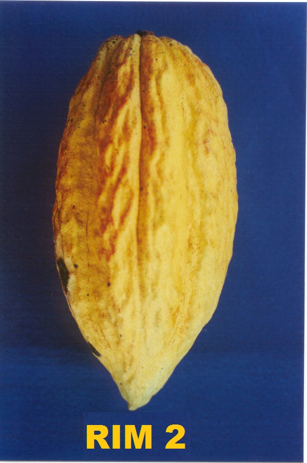 Mature pod